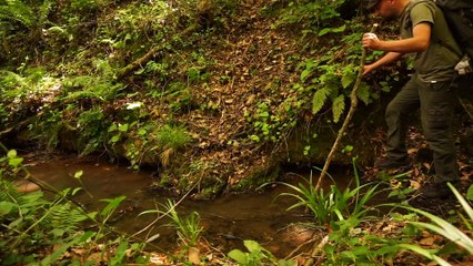 Bushcraft Solo Camping - Doğada sabah kahvaltısı ve hamak'la dinlenmek