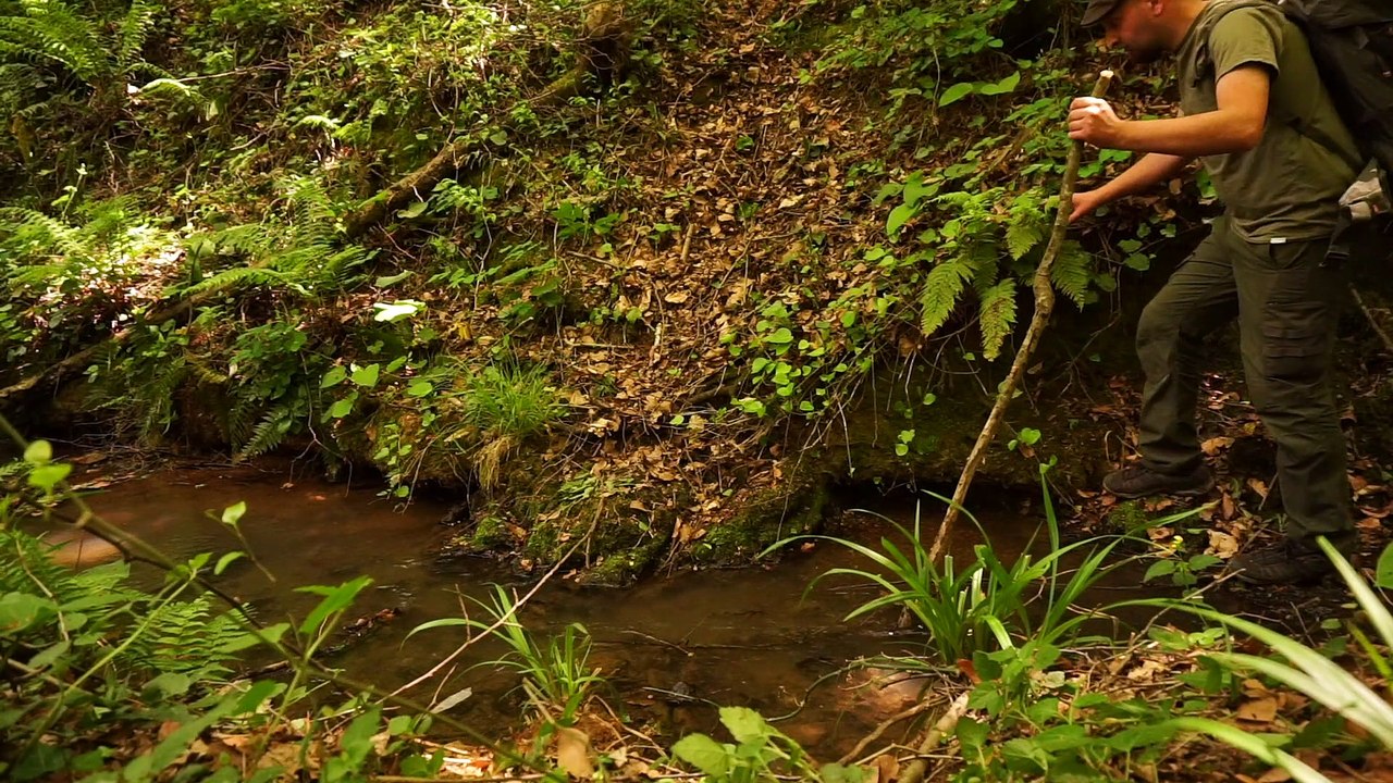 Bushcraft Solo Camping - Doğada sabah kahvaltısı ve hamak'la dinlenmek