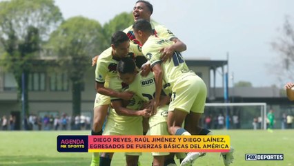 Así están las cosas en América con Alfredo Tena: Agenda FS