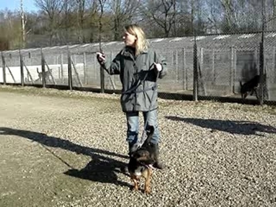 Susanne et basile MOV02370