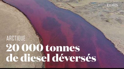 En Arctique, grave pollution au carburant dans le Grand Nord russe
