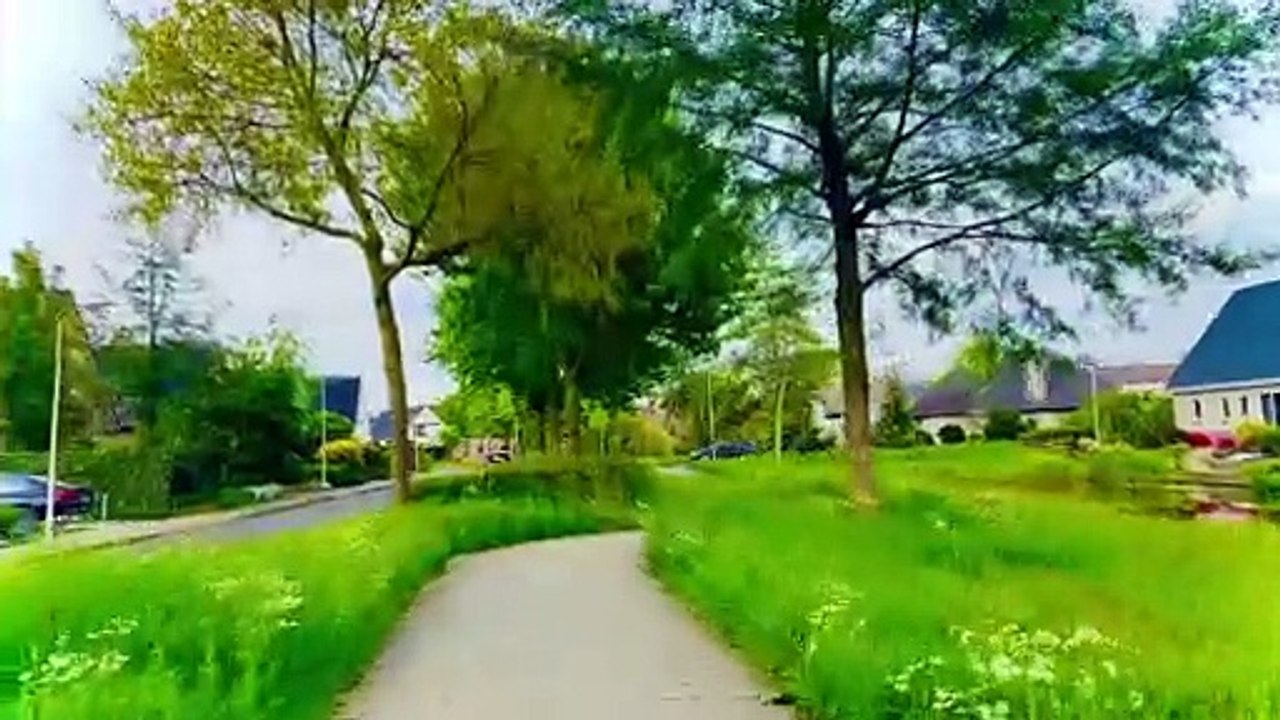 Road from neighborhood