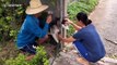 Husky rescued by Thai owner after getting head stuck in between wall and metal post