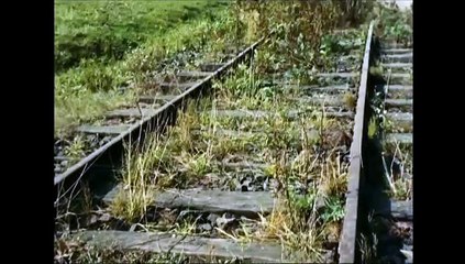 vichy mémoire empoisonnée2 mythe résistancialiste glaive et bouclier