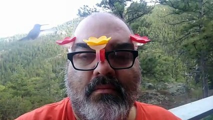 Hummingbird Whisperer