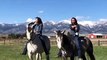 Assises sur la selle de leur cheval, ces deux femmes ouvrent une bouteille de champagne et font peur aux animaux.