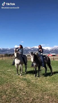Assises sur la selle de leur cheval, ces deux femmes ouvrent une bouteille de champagne et font peur aux animaux.