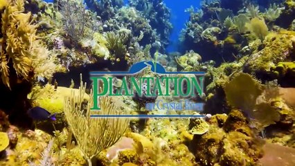 BAHAMAS Fishing and Diving Pt2