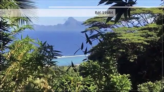 Terrain de 2100 m2 – Punaauia vue Moorea