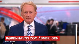 COVID-19; Københavns Zoo åbner igen | Nyhederne | TV2 Danmark