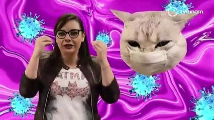 NO MEMES ¿Y SI NOS DAMOS UN BREAK (T1   E1)