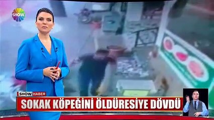 Sokak köpeğini öldüresiye dövdü! Uyaran kasabın üzerine bıçakla yürüdü!