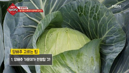 양배추와 콩나물 고르는 꿀팁, 대방출!