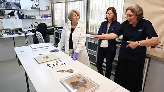 DNA revela parte do segredo dos Manuscritos do Mar Morto