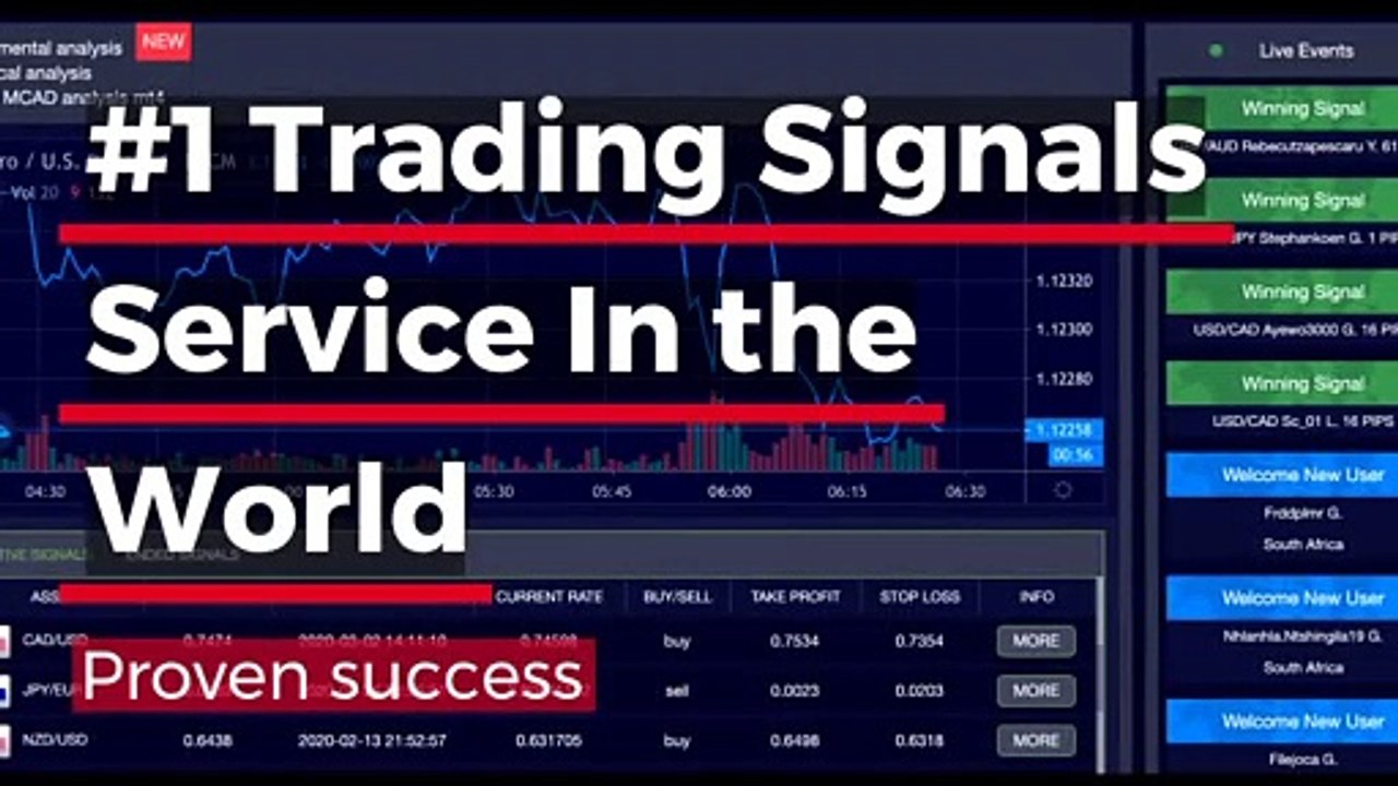 best forex signals with tools trades