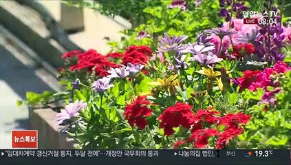 Video herunterladen: [날씨] 전국 맑고 여름 더위…강한 자외선·오존 주의