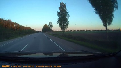 Moose Crossing a Road Gets Hit