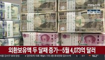 외환보유액 두 달째 증가…5월 4,073억 달러