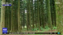 [뉴스터치] 국립자연휴양림 성수기 이용 신청 접수