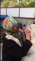 Görüntüsü üzerinden türlü senaryolar kurulabilir ama bunlar da bir can ve içleri sevgiyle dolu