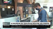 Le muséum de Toulouse rouvre ses portes