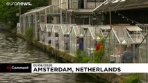 گلخانه‌های کوچک دو نفره؛ ایده رستورانی در آمستردام در روزهای کرونایی