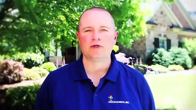 Best Lawn Care Tips to Maintain Your Lawn in Marietta,GA | Arbor Nomics Turf |