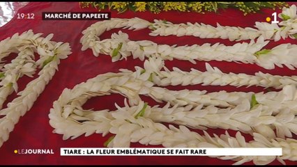 Saison sèche et suspension des vols inter-îles : pénurie de Tiare Tahiti