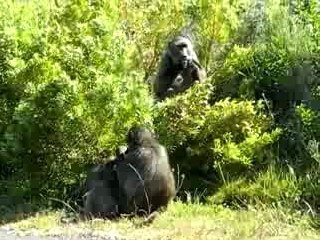 Un jour en Afrique du Sud...