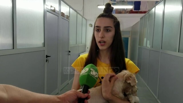 Dashuria për kafshët/ Veterinerja në Fier që kujdeset për qentë e braktisur