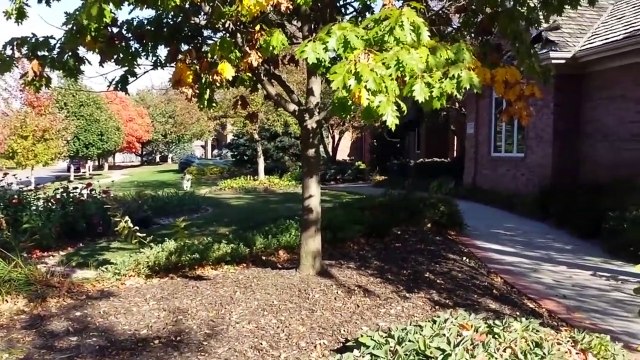 KILLER TURKEYS! Turkey’s Fight Back Videos - AFV Funniest Videos 2020