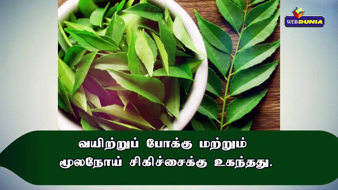 கறிவேப்பிலை சாற்றின் மருத்துவ பயன்கள்!!