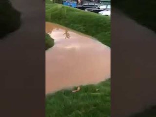 Report TV -Përmbytet nga shiu parku i ri i lodrave, firma që e ndërtoi të dëmshpërblejë Tiranën