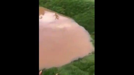 Report TV -Përmbytet nga shiu parku i ri i lodrave, firma që e ndërtoi të dëmshpërblejë Tiranën