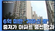 6억 원 미만 '귀하신 몸'...서울 중저가아파트 풍선 효과 / YTN