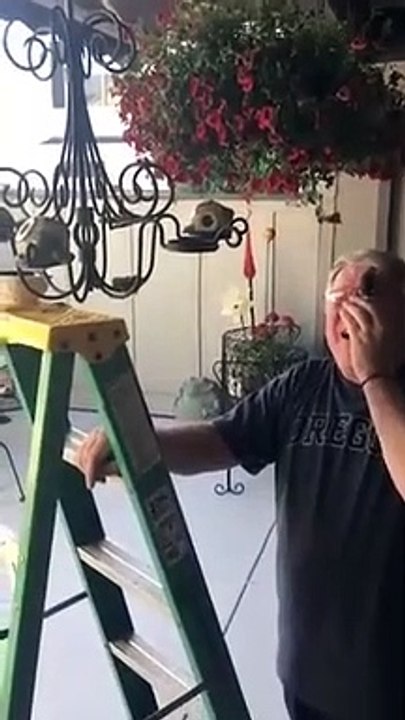 Un oiseau veut faire son nid... dans les cheveux de cet homme