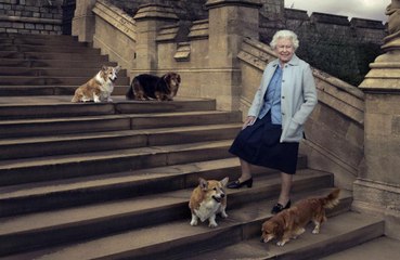 Royally pampered pooches: Queen Elizabeth's corgis had their own special menu
