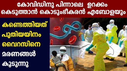 Ebola in Congo: 2nd outbreak of Ebola is reported in Congo | Oneindia Malayalam