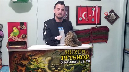 Dükkânına biri taş attı zannetti, gerçeği görünce çok şaşırdı