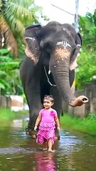 நாக்கைத் துருத்திக் கொண்டு பாமாவும், ஆடி அசைந்து உமாதேவியும்.. இரு "குட்டி"களின் கதை..!