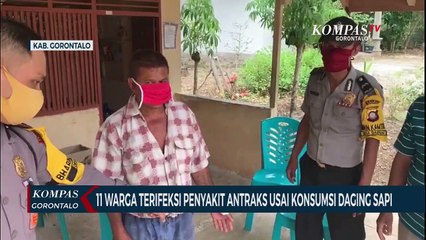 11 Warga Terifeksi Penyakit Antraks Usai Konsumsi Daging Sapi