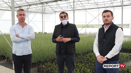 4 mijë fermerë përfitojnë nga skema kombëtare, janë parashikuar 743,9 milionë lekë