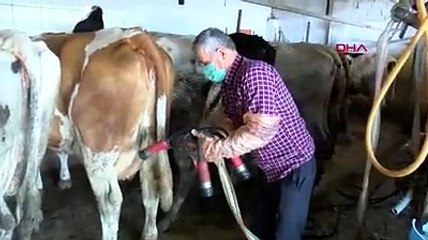 Kaliteli süt teşviki Çanakkaleli üreticileri sevindirdi