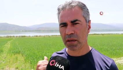 30 yıl aradan sonra ilk kez görüntülenmişti, tekrar suya gömüldü