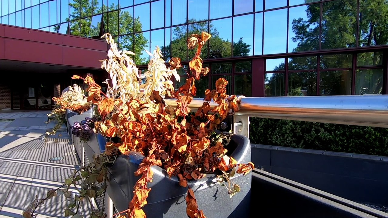 Reprise aux Espaces verts