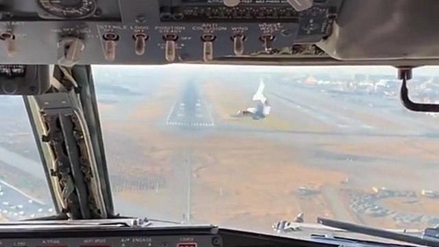 Un avion de ligne percute un oiseau au moment de l'atterrissage