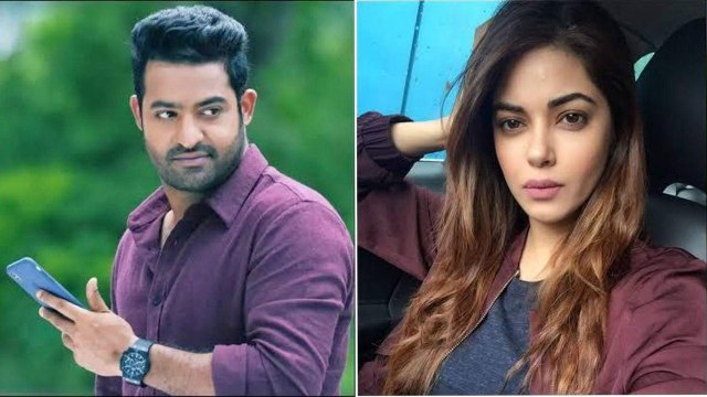 Jr NTR Fans Vs Meera Chopra : Meera Chopra Files A Case Against Jr NTR Fans