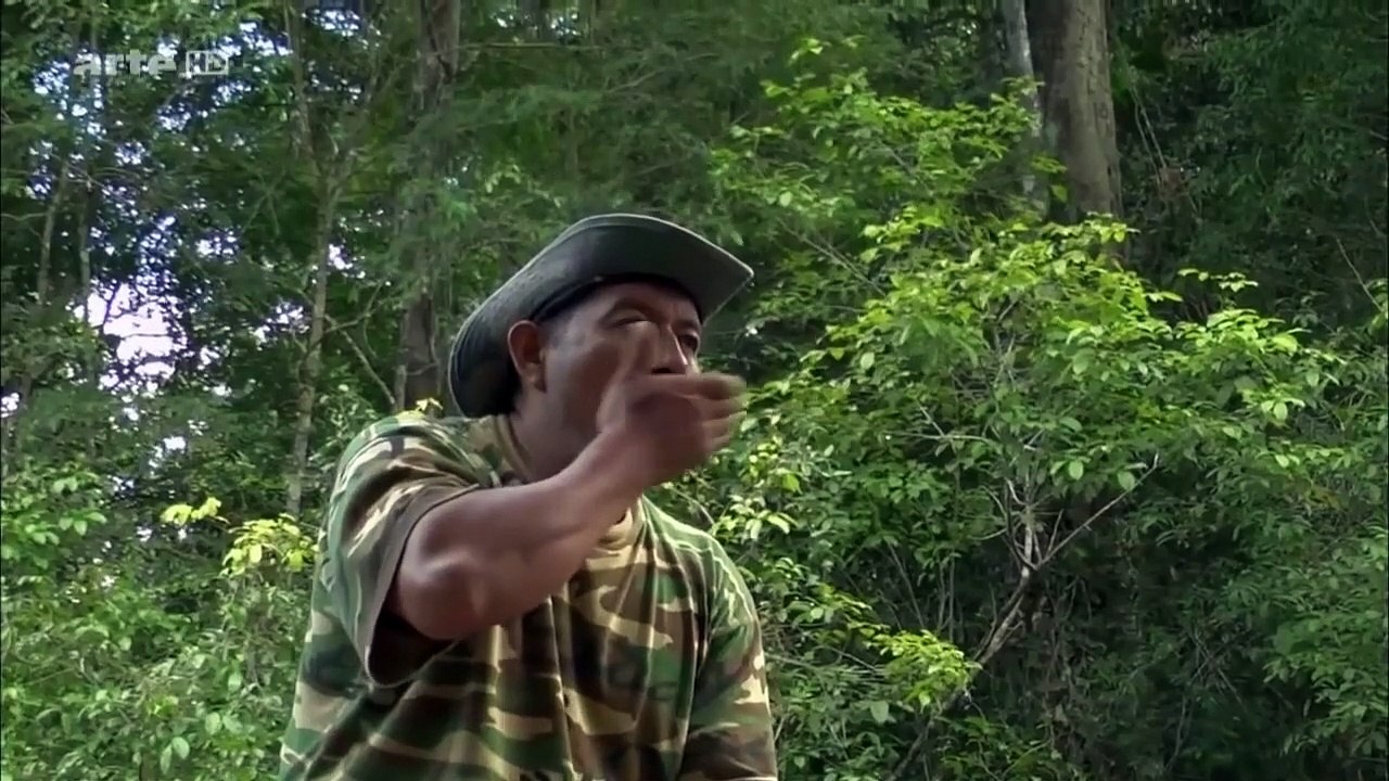 ANACONDA - LES 5 ANIMAUX LES PLUS DANGEREUX D'AMÉRIQUE DU SUD - DOCUMENTAIRE ANIMALIER 2020 ARTE