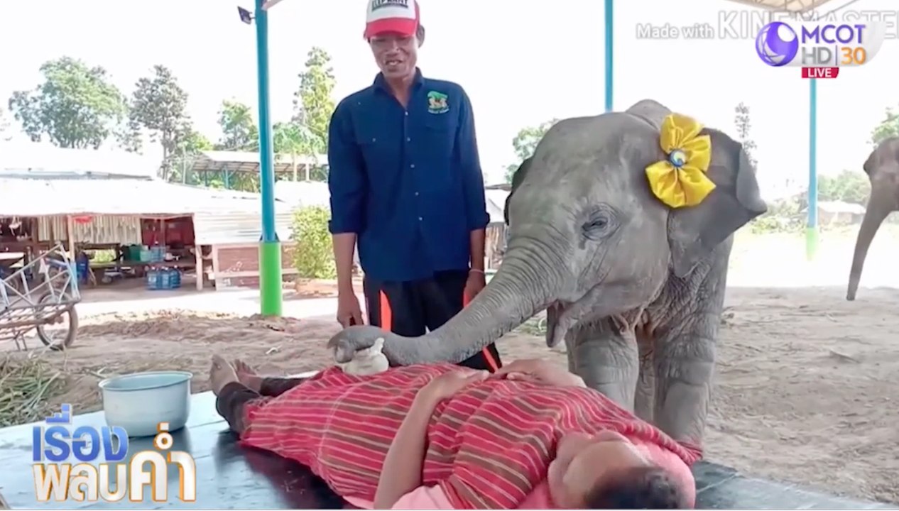 นวดกับ "พังอุ้มบุญ" สาวน้อย 100 โล