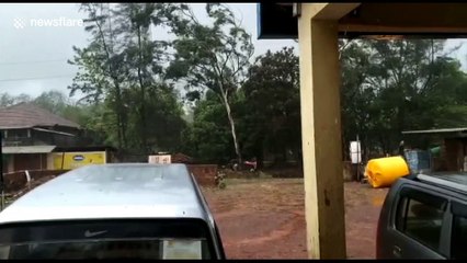 Cyclone Nisarga makes landfall near city of Mumbai